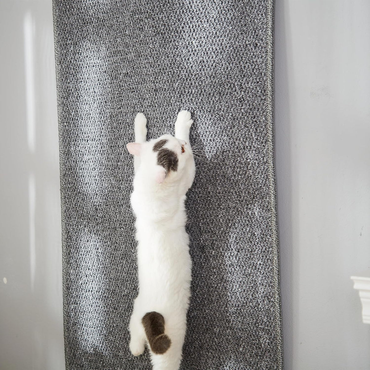 SHENGOCASE 67"x 23.6" Thickened Cat Wall Climbing Carpet, Cat Wall Furniture Scratcher, Scratching Post, Couch Sofa Protector (Grey)