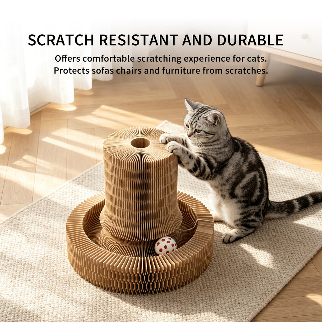 Multi-form Foldable Magic Organ Cat Scratcher Corrugated Cardboard Scratch Board Interactive Cat Toy With Rolling Bell Ball Indoor Kitten Grinding Claw Furniture