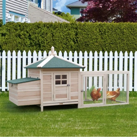 Wooden Chicken Coop