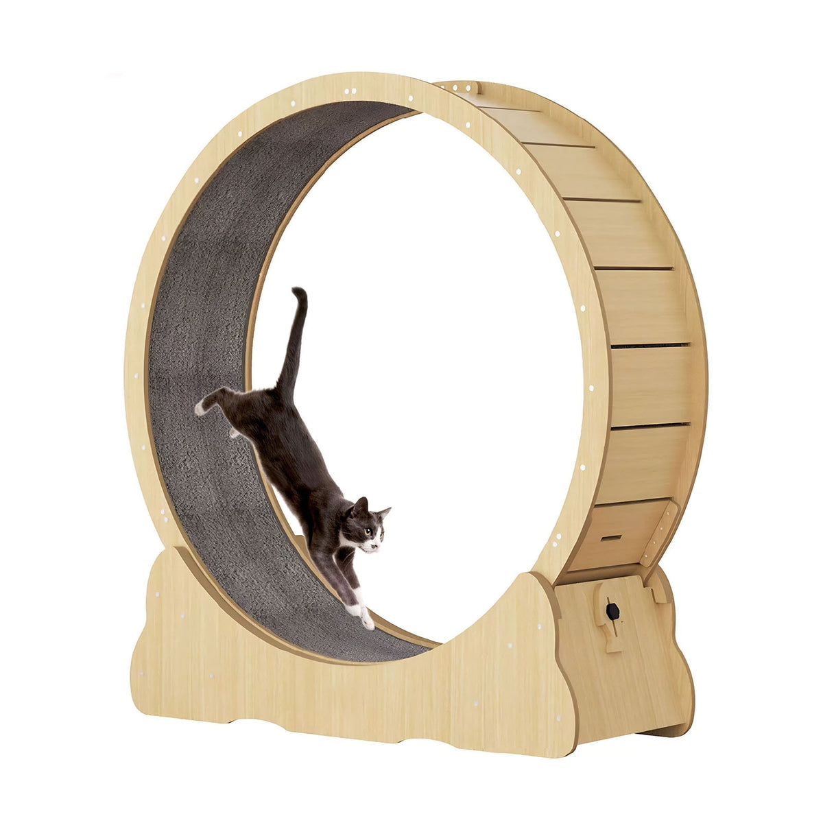 Cat Wheel, Large Cat Treadmill for Indoor Pets, Cats Exercise Running Wheel with Detachable Carpet, Quiet and Sturdy, Suitable for Most Cats Running / Walking / Training