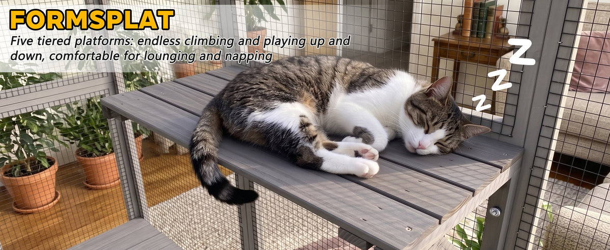 Gray Wooden Catio Pet Enclosure with Waterproof Top, Spacious and Secure Cat House & Small Animal Cage,2 Napping Boxes
