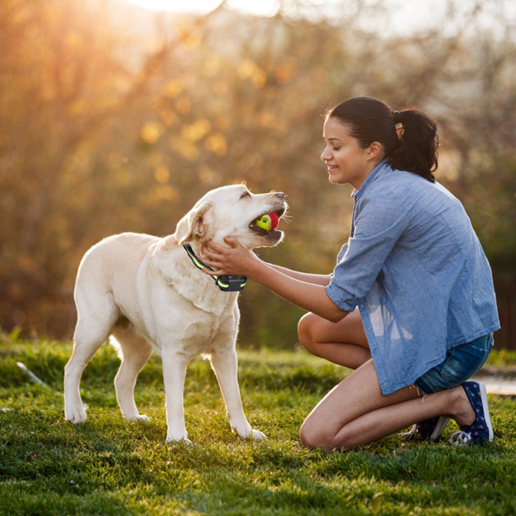Dog Bark Collar Rechargeable Waterproof Beep Vibration Static Stimulation Bark Stopper Automatic Identification Collar With 6 Intensity Dual Modes