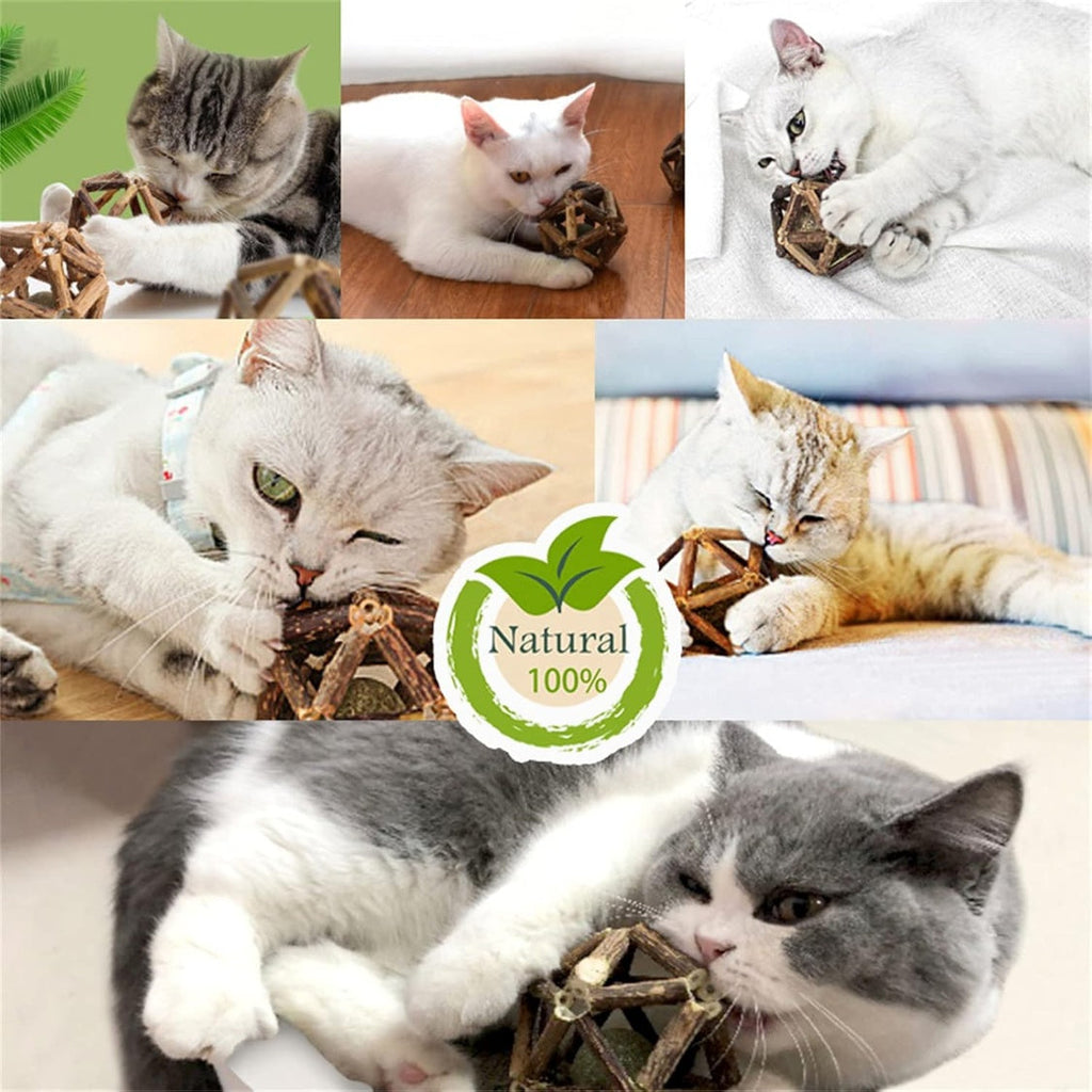 Natural Silvervine Stick Catnip Ball Bell Ball Cat Toys For Indoor Cats- Cleaning Teeth Molar Tools Cat Chew
