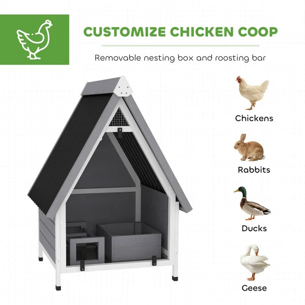 Chicken Coop