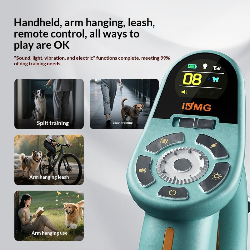 Training And Leash